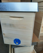 Golzbeute Ableger mit 10 Rähmchen – Bild 6