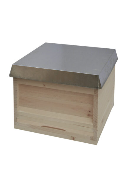 DNM Beute mit 10 Rähmchen