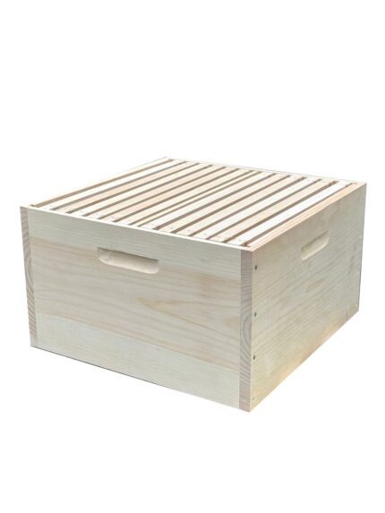 Dadant US12 Brutraum