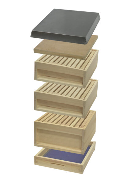 Zanderbeute Bienenbeute 1 1