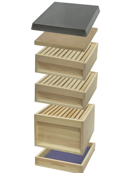 Zanderbeute Bienenbeute 1 2